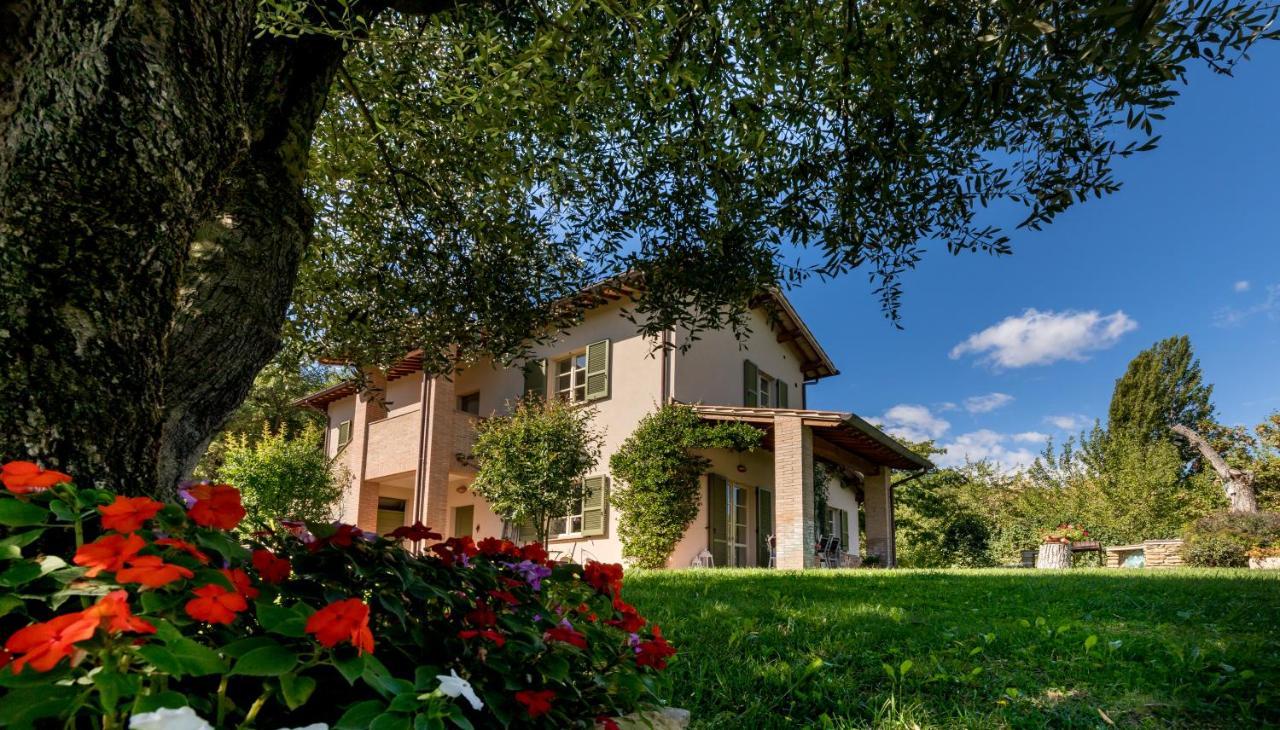Altra Meta B&B Gubbio Exterior photo